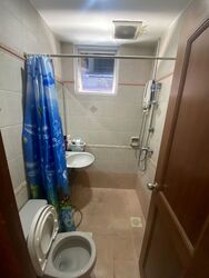 Niven Road (D9), Terrace #511406571